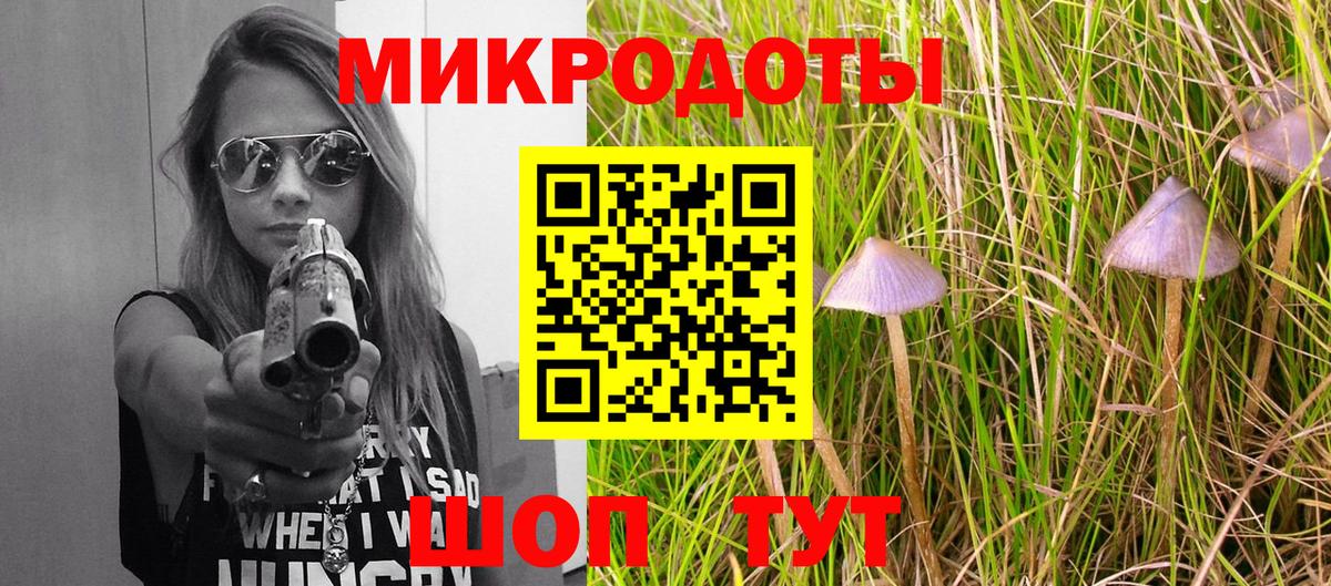 Псилоцибиновые грибы Magic Shrooms  Вход с VPN  Ногинск  Псилоцибиновые грибы Magic Shrooms 
